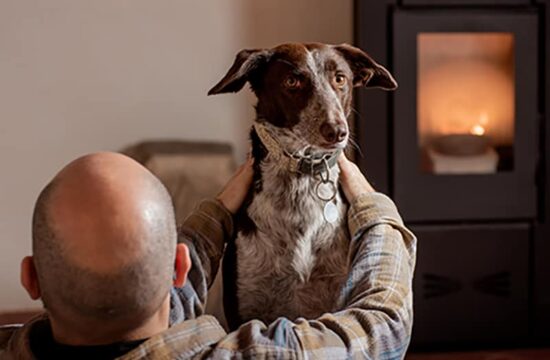 Uomo con cane davanti a stufa a pellet: calore accogliente dall'Austria